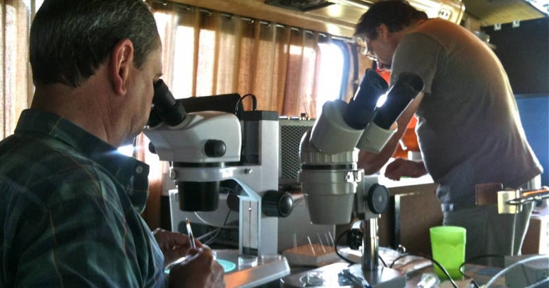 laboratorio-la-adela